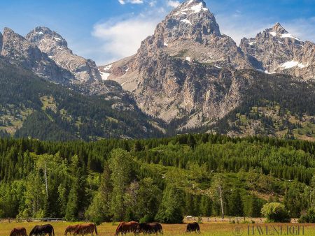 Panorama of Grand Teton Mountain Range, Wyoming Online now