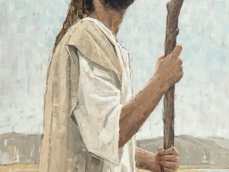 Our Shepherd Online now