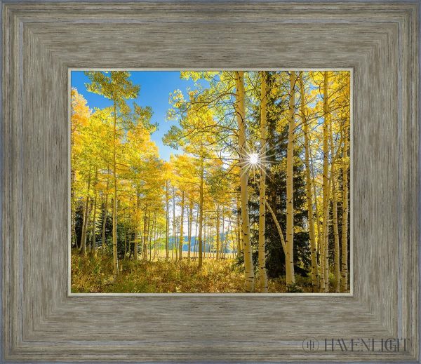 Autumn in the Rocky Mountains, Wasatch National Forest, Utah Online Hot Sale