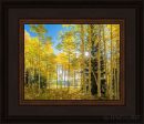 Autumn in the Rocky Mountains, Wasatch National Forest, Utah Online Hot Sale