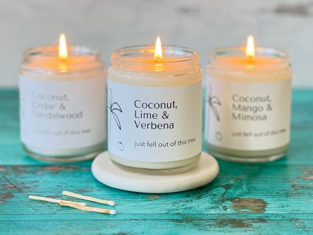 Coconut Tree Candles Online Sale