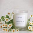 Chamomile Candle Cheap