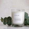 Eucalyptus Candle Sale